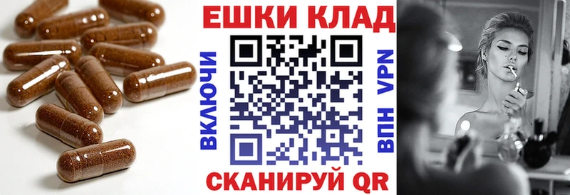 ЭКСТАЗИ ешки  кракен зеркало  Тосно 