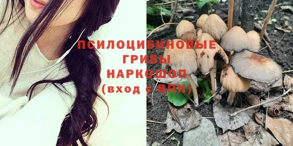 СК Магас