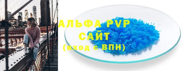 ECSTASY Липки
