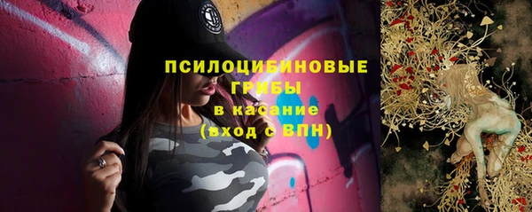 ECSTASY Липки