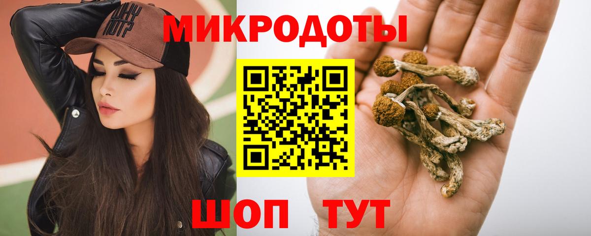 Псилоцибиновые грибы Psilocybe Тосно
